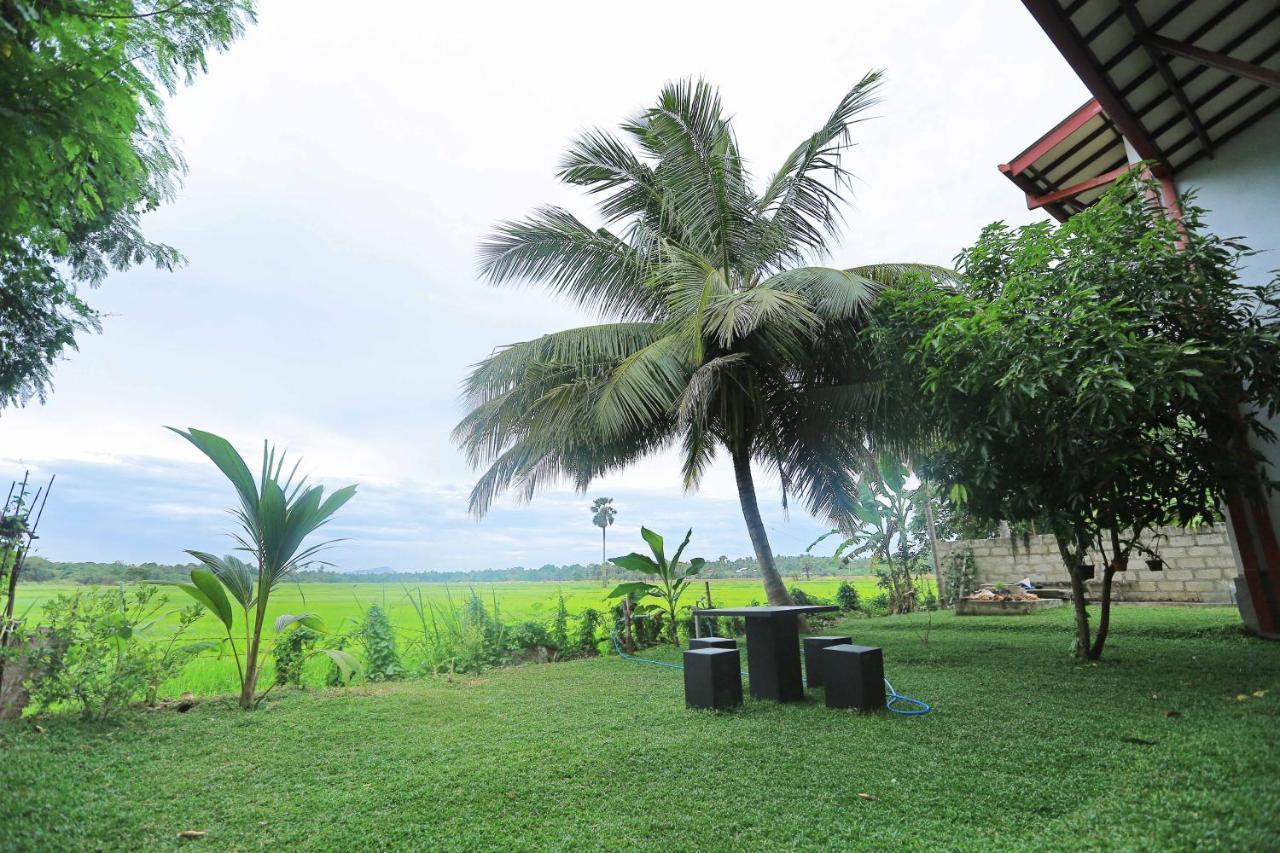 Serene View Tourist Rest Hotel Anuradhapura Exterior photo